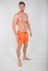 Alpha Industries Męskie stroje kąpielowe Basic Swim Short
