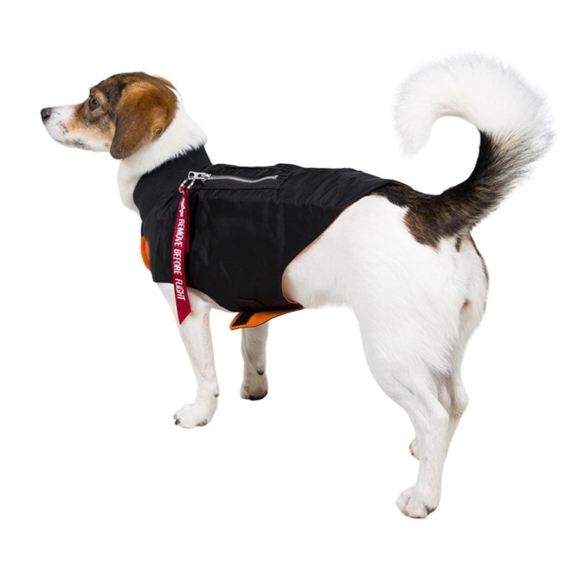Alpha Industries Dog Jacket MA-1 Accessories Bunda pro psa